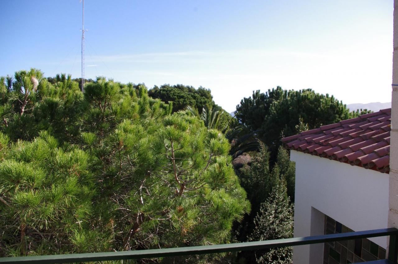 Apartaments Falco Llanca Exterior photo